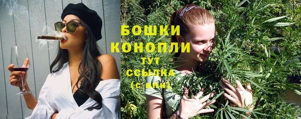 шишки Володарск