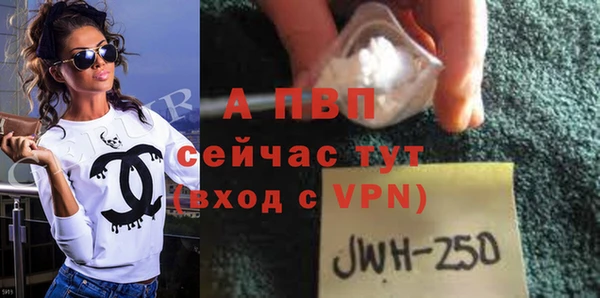 хмурый Бородино