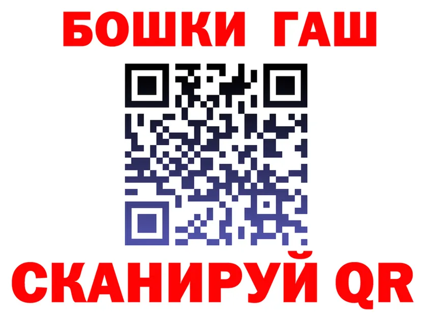 АМФ Premium ONION shop MEGA Дно